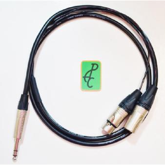10' Insert Cable 1/4" TRS - Dual XLR Image